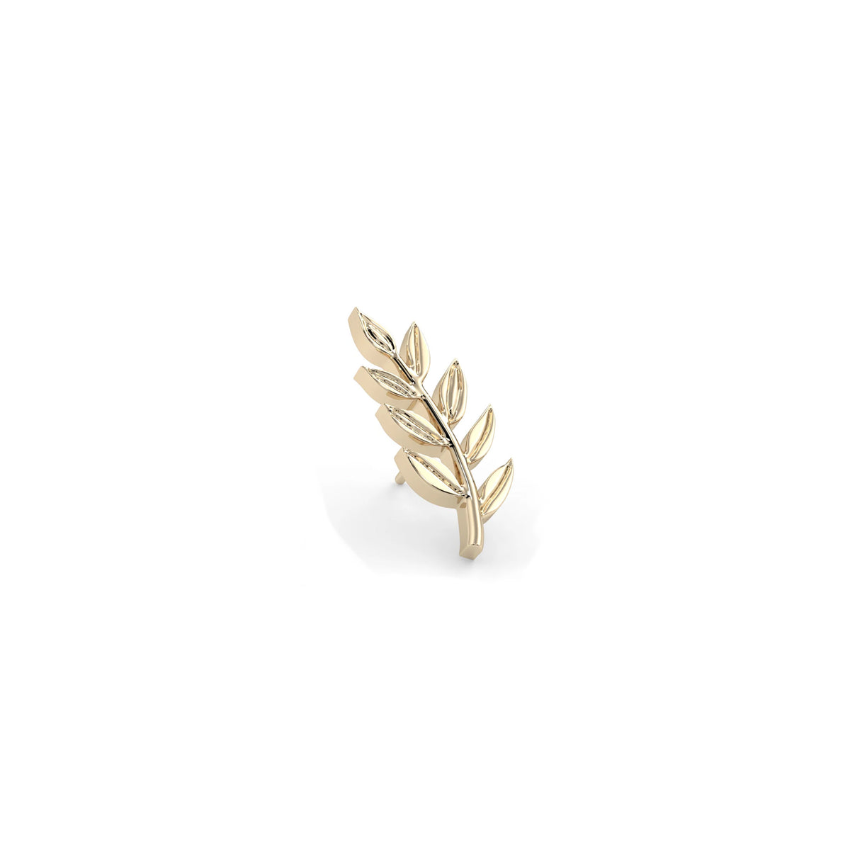 Athena Olive Branch