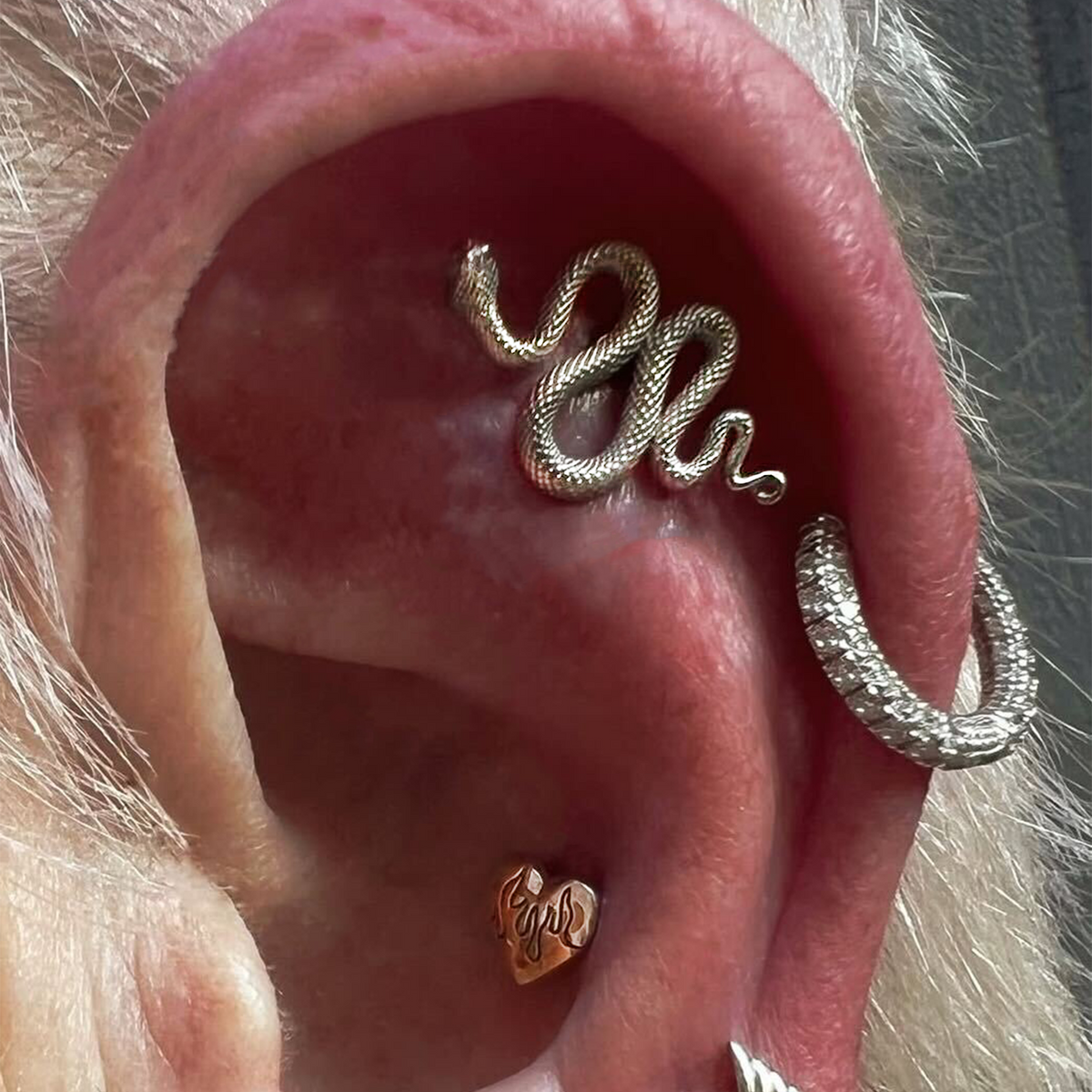 Snake