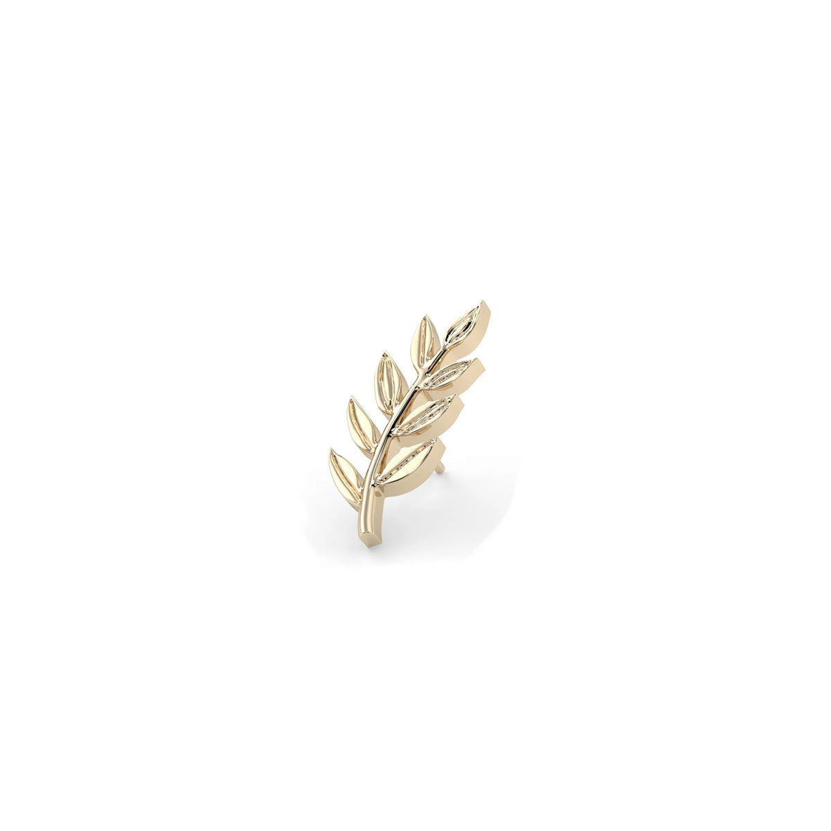 Athena Olive Branch