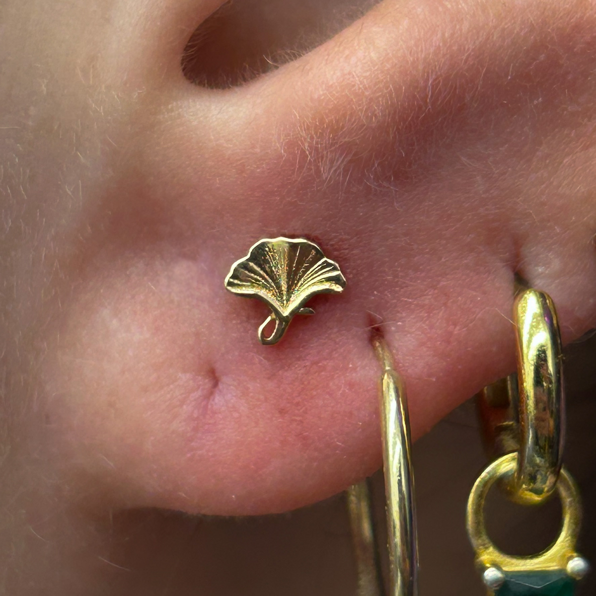 Mushroom Gingko Leaf