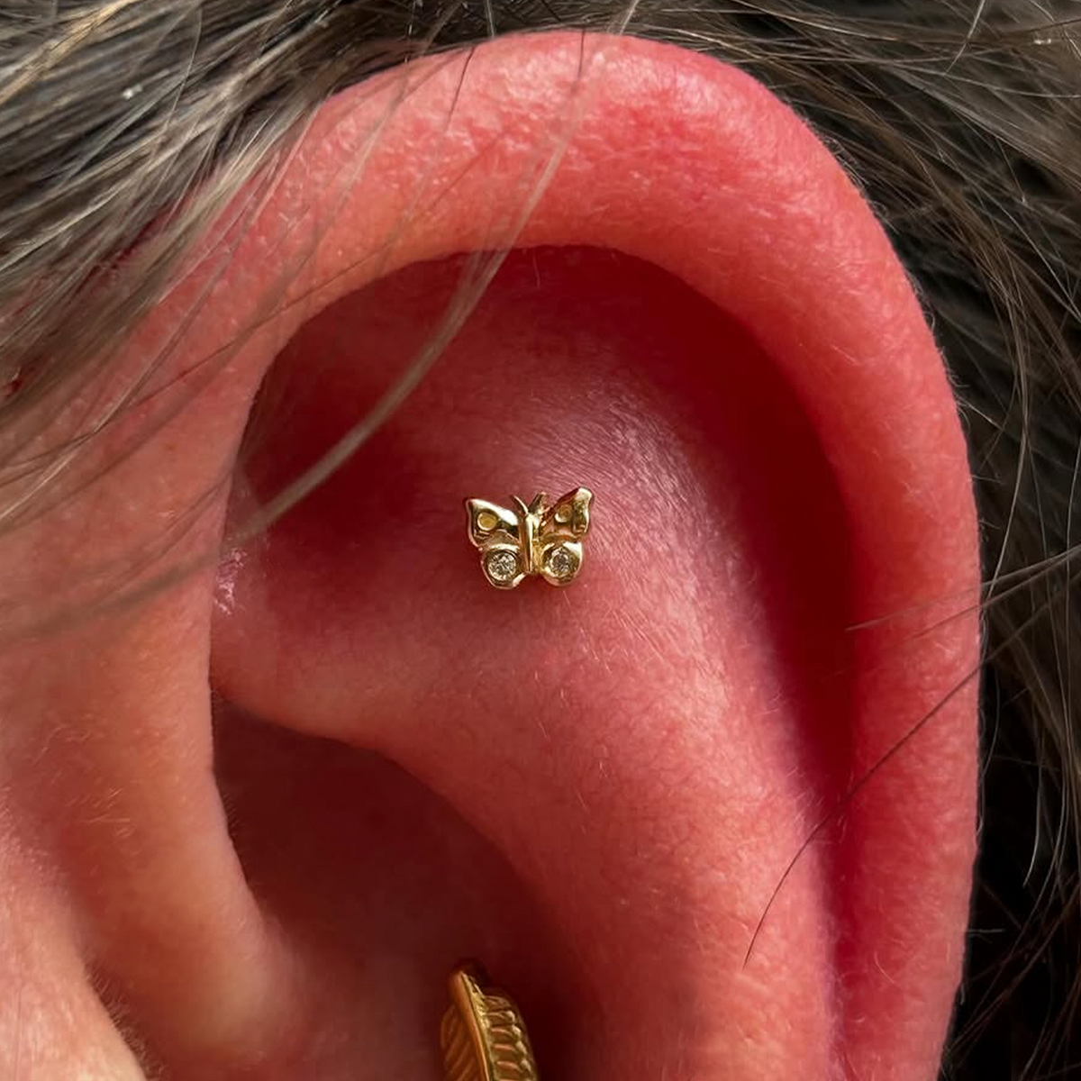 Mini Butterfly