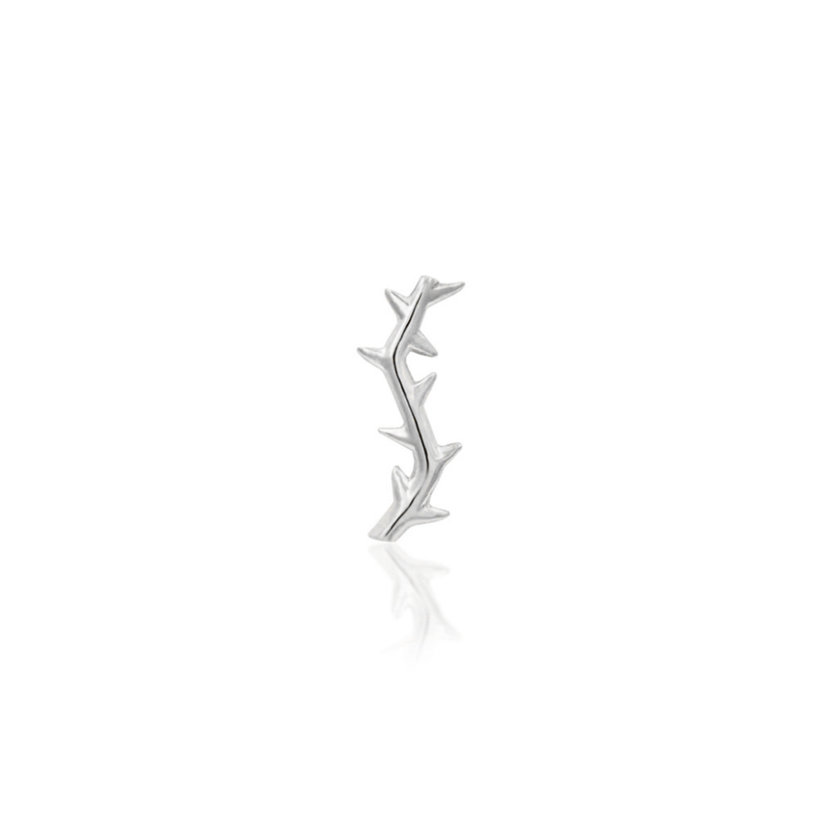 Thorn