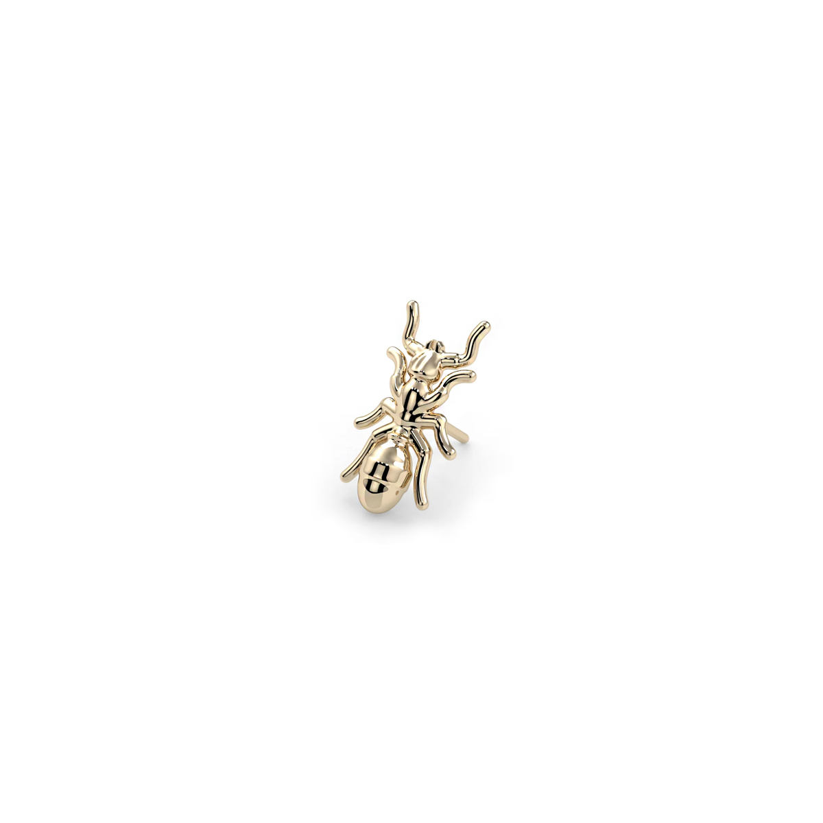 Ant
