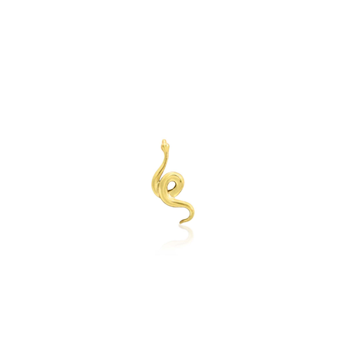 Snake (not textured)