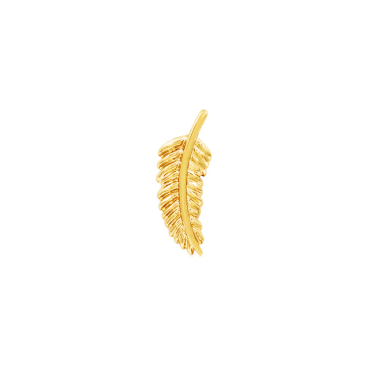 Feather Quill