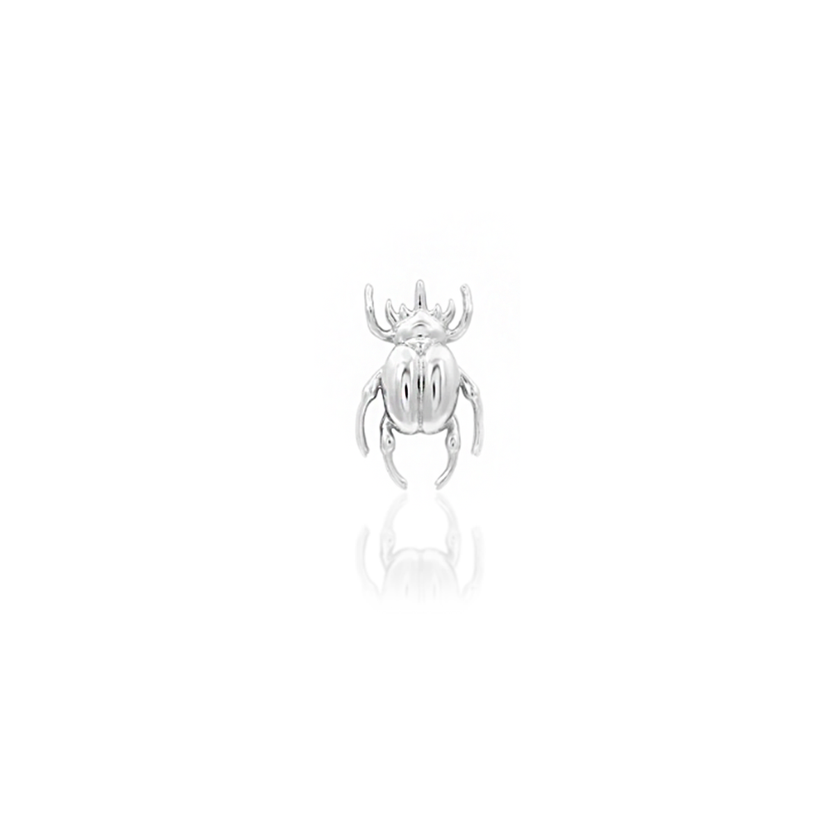 Rhino Beetle