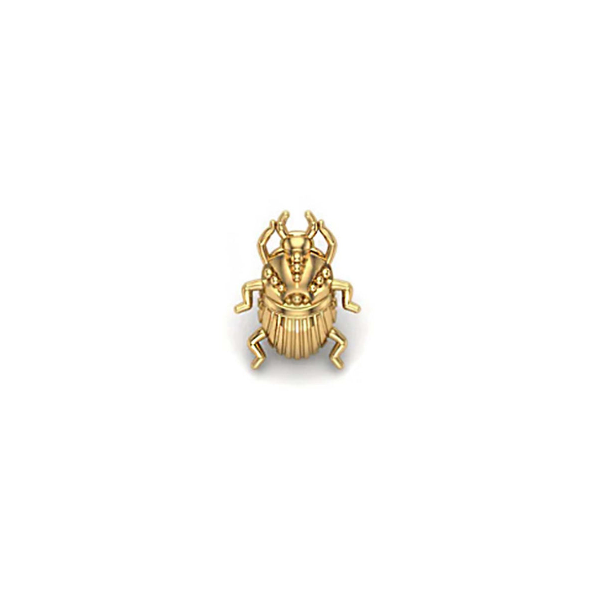 Mushroom Scarab