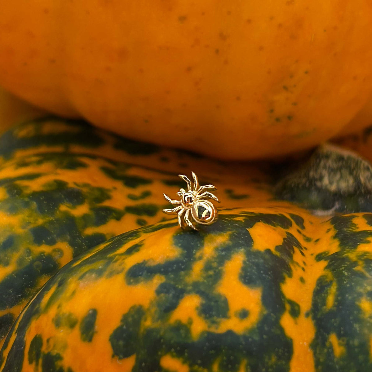 Mushroom Tarantula