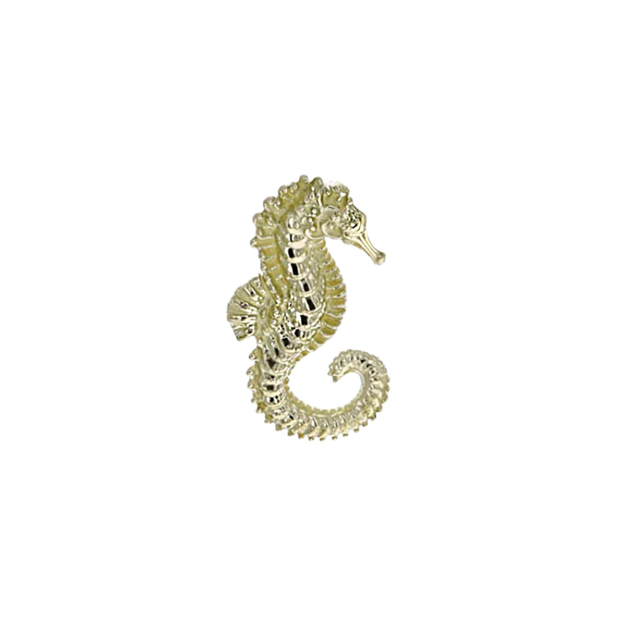 Seahorse