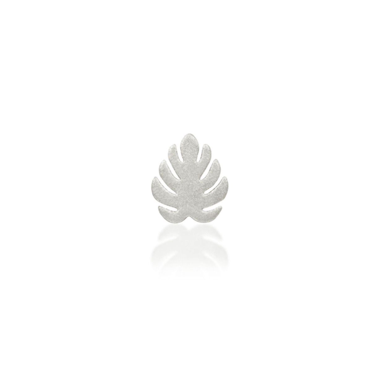 Monstera