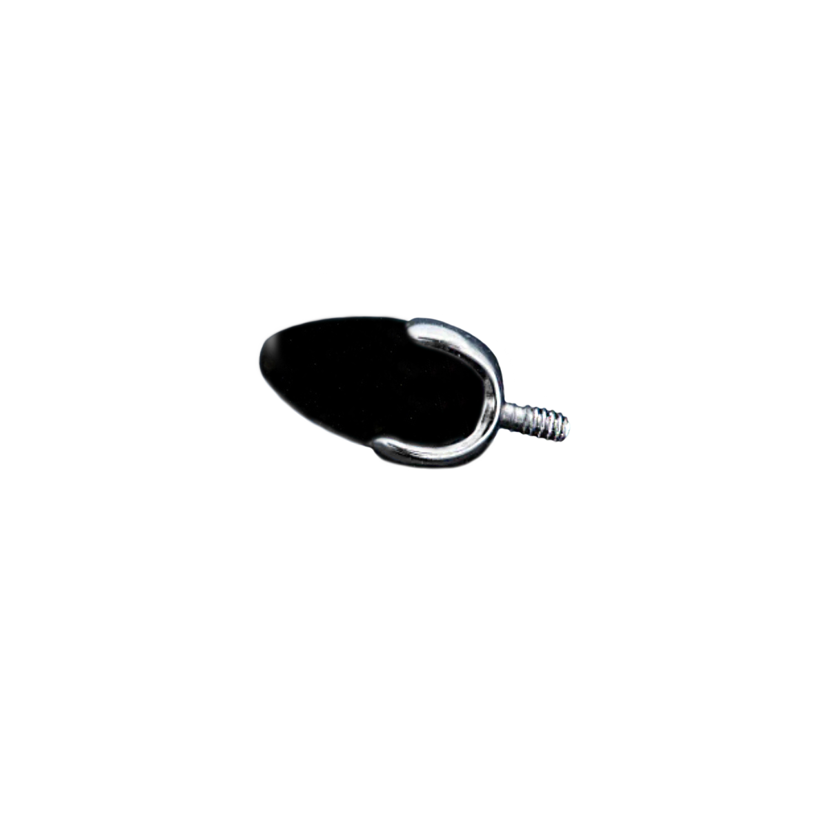Black Onyx Bullet