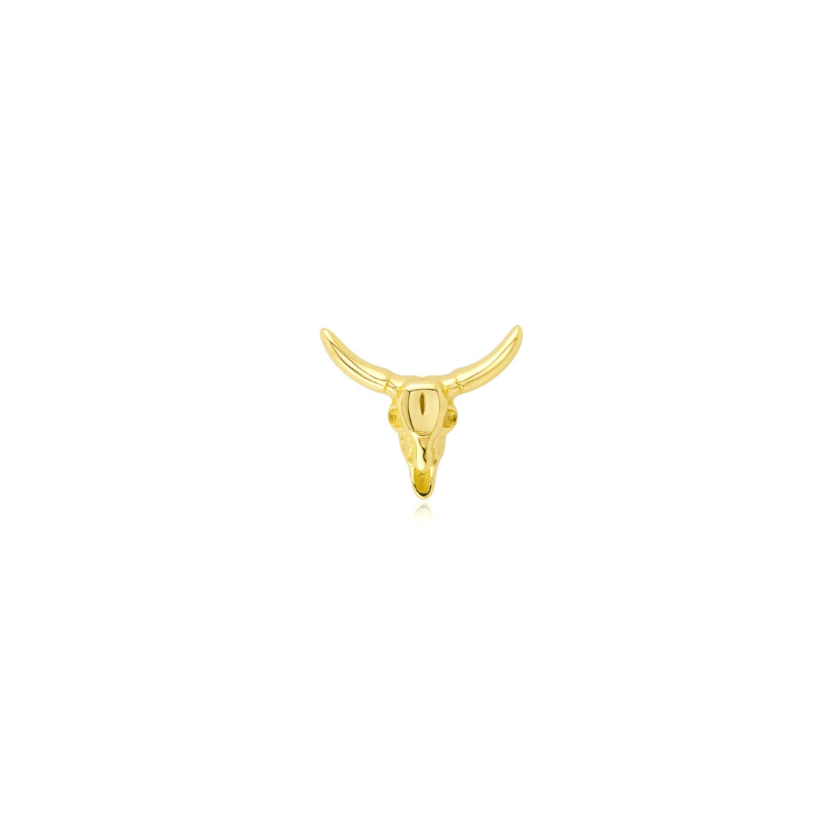 Ox Skull