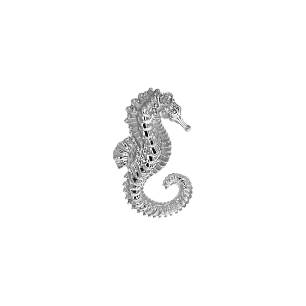Seahorse