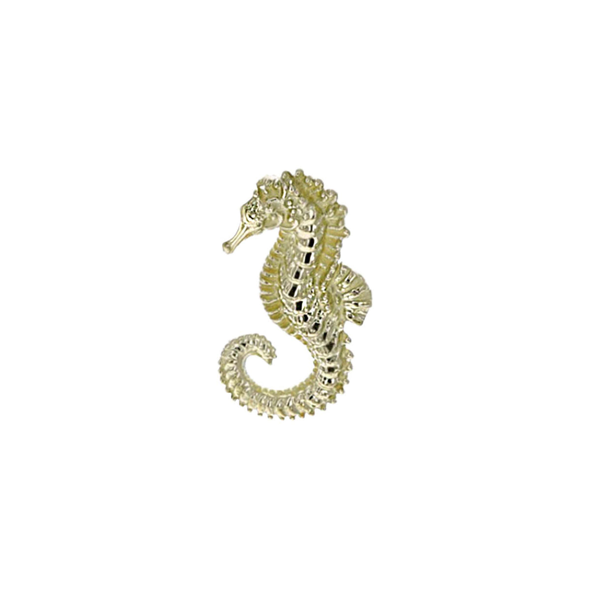 Seahorse