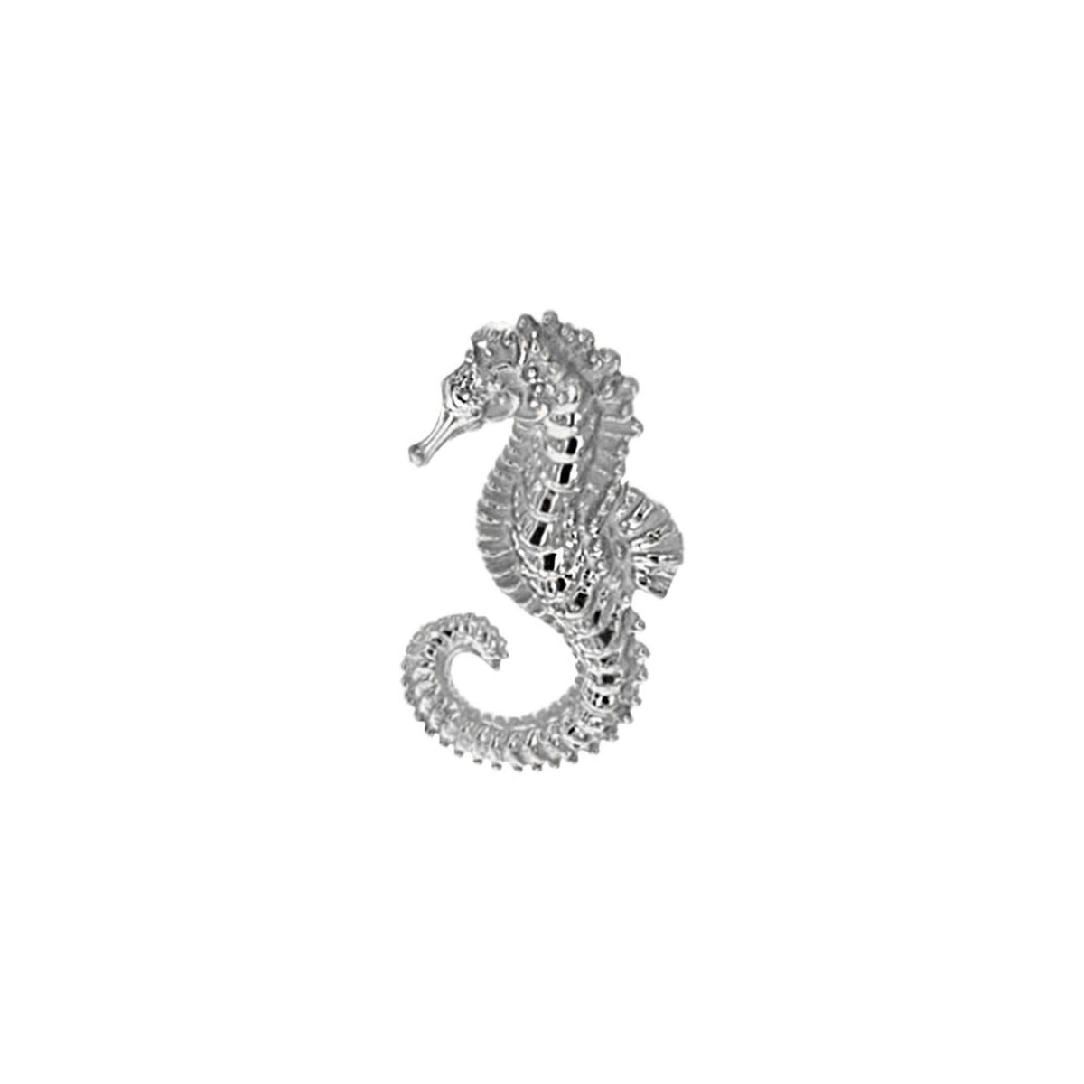 Seahorse