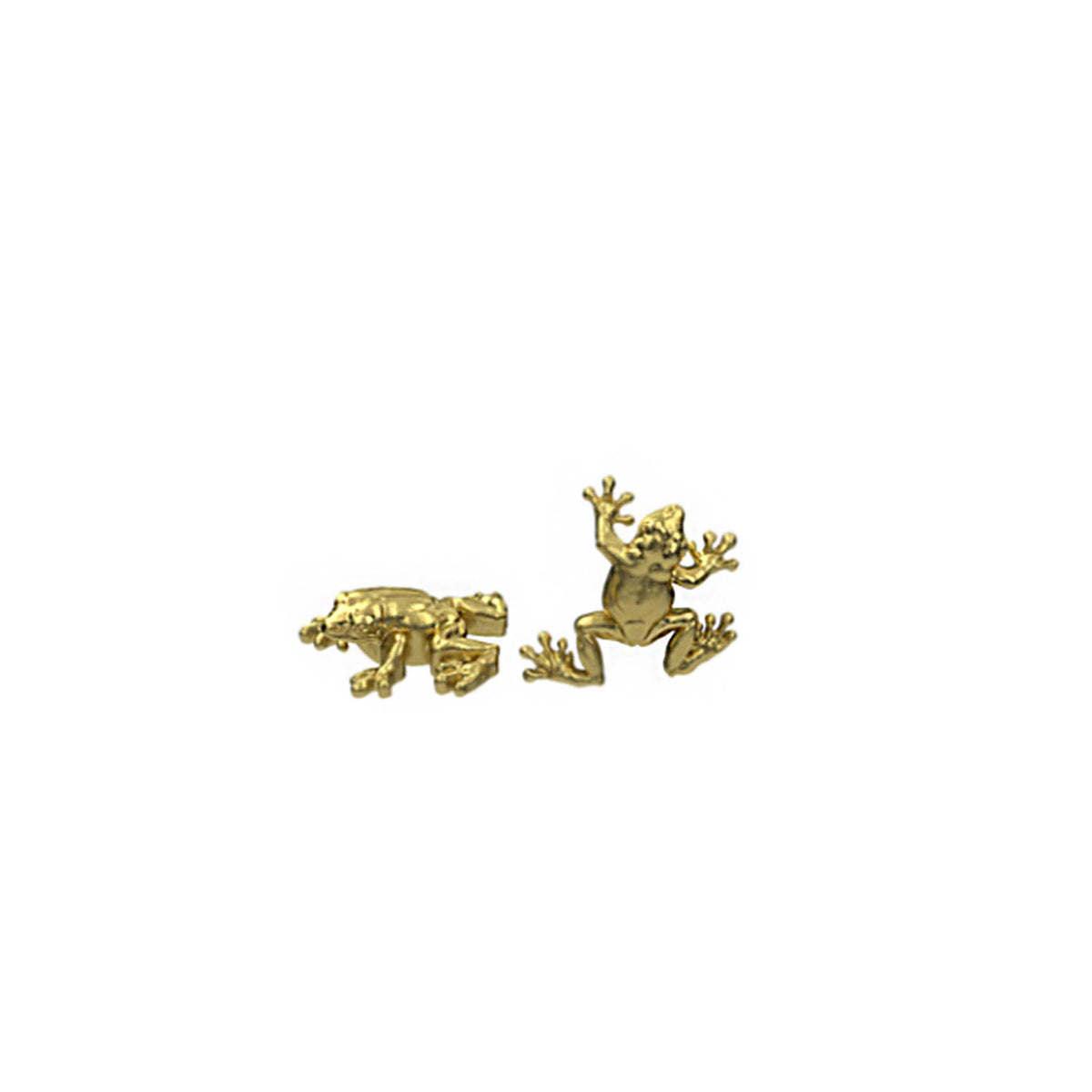 Tree Frog