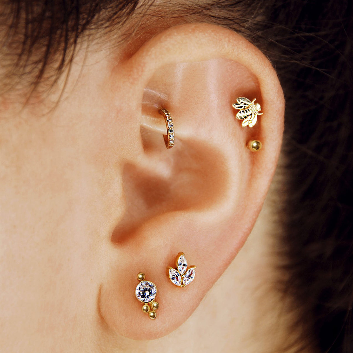 LOTUS IN GOLD