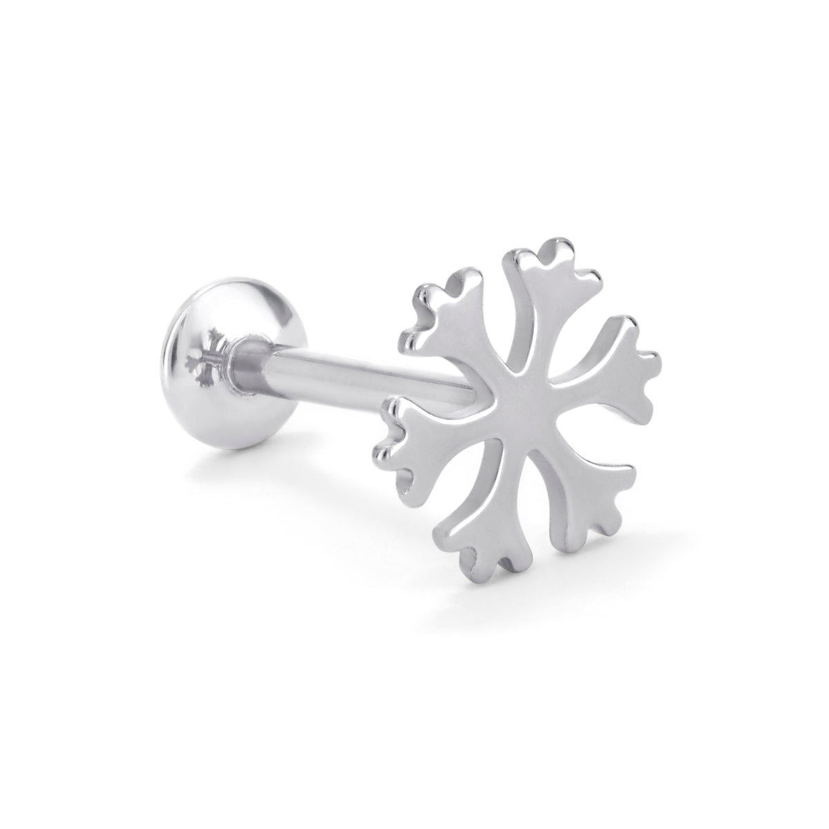 Snowflake in Silver